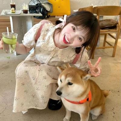海屿追光·春日限定